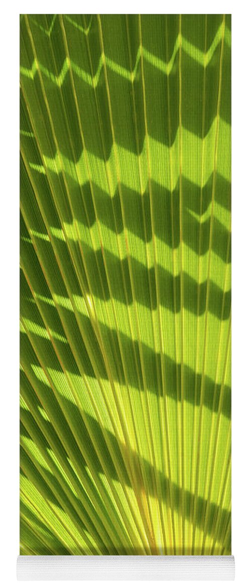 Palm Leaf Yoga Mat featuring the photograph Structure of green palm leaf with shadows 2 by Adriana Mueller