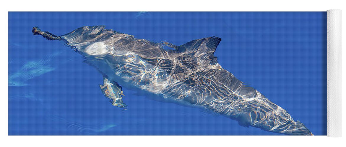 Kauai Yoga Mat featuring the photograph Submerged Spinner Dolphin. by Doug Davidson
