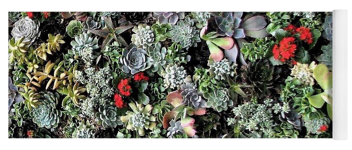 Succulent Yoga Mat featuring the photograph Succulent Abstract by Angela Davies