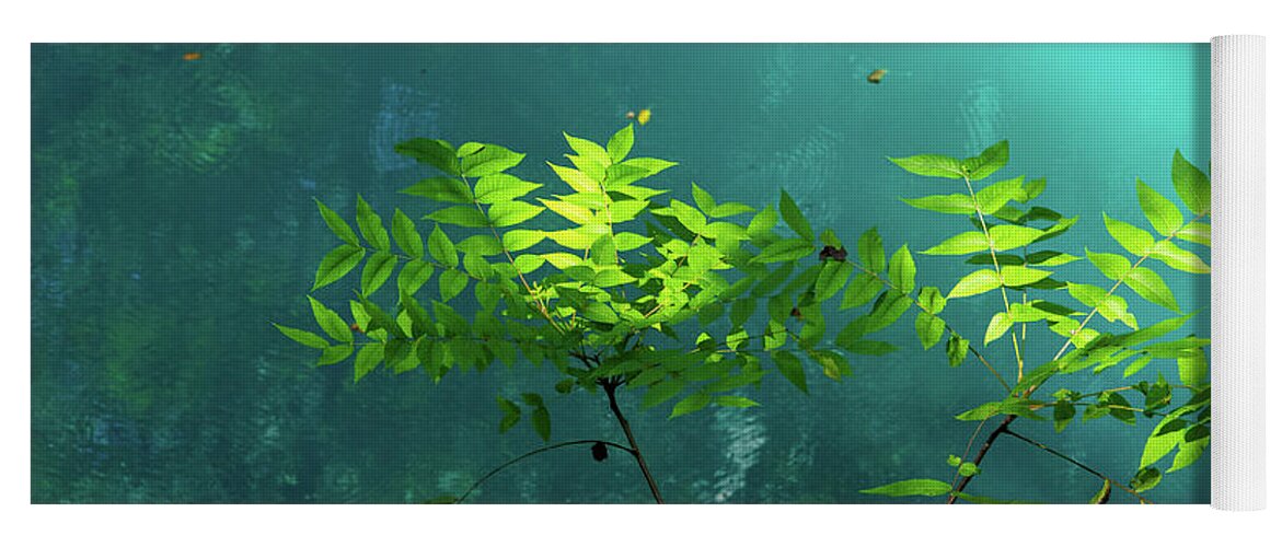 Missouri Yoga Mat featuring the photograph Sumac At Round Spring by Steve Stuller