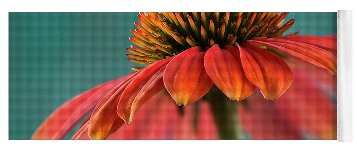 Orange Cone Flower Yoga Mat featuring the photograph Summer Flames by John Rogers