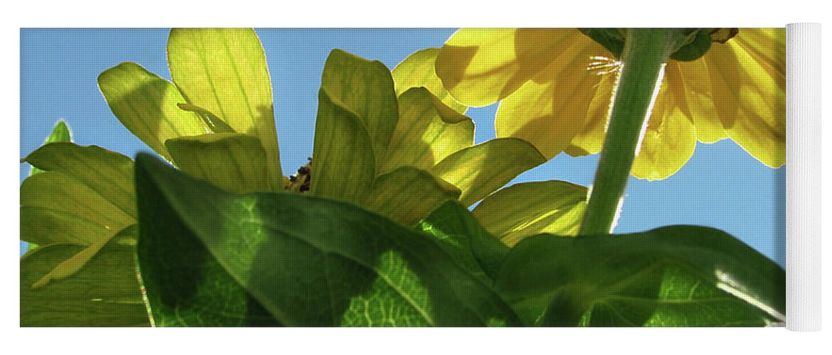 Yellow Flowers Yoga Mat featuring the photograph Summer Sky Flowers 8 AUG 2020 by Jaeda DeWalt