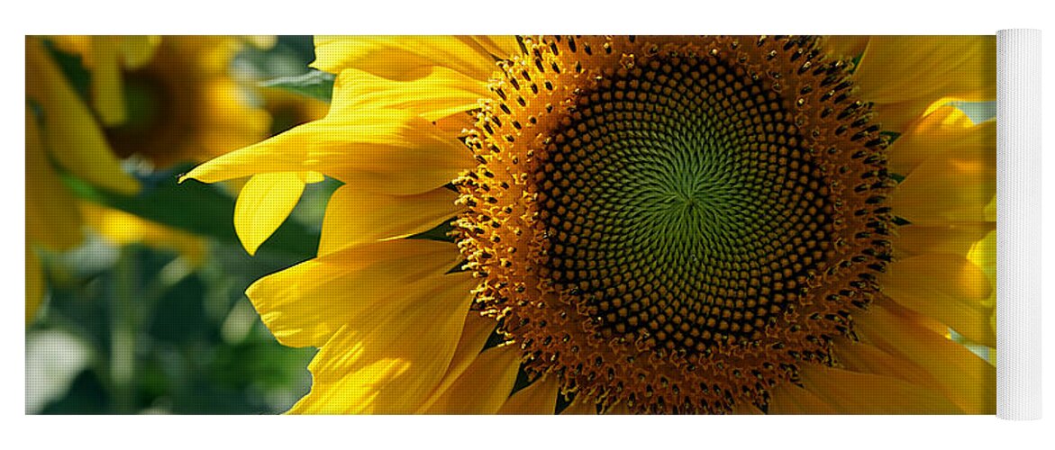 Richard Reeve Yoga Mat featuring the photograph Summer Sunflower by Richard Reeve