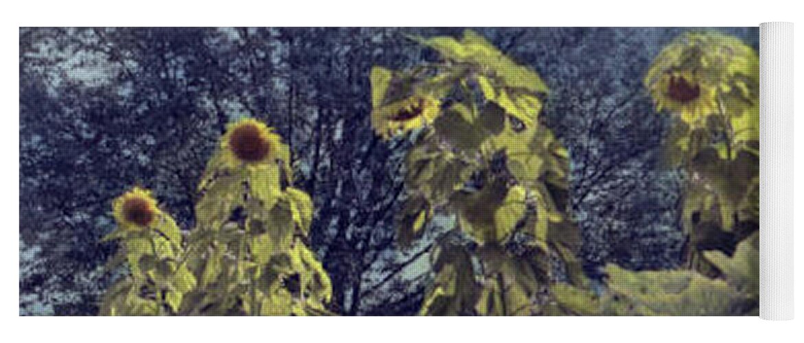 Sunflowers Yoga Mat featuring the photograph Summer's Last Dance by Joe Hoover