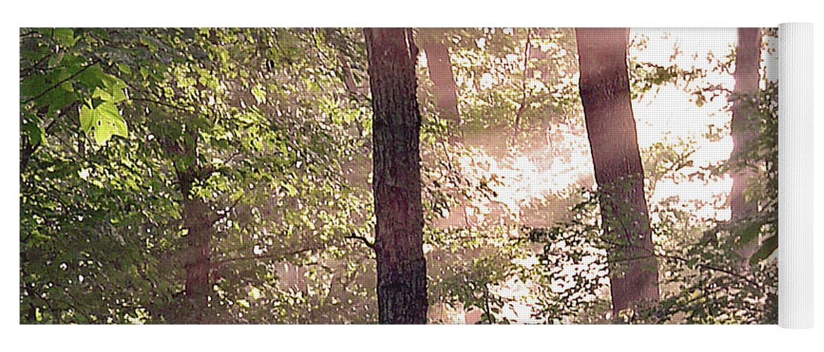 Trees Yoga Mat featuring the digital art Sun Rays in Virginia by Nancy Olivia Hoffmann