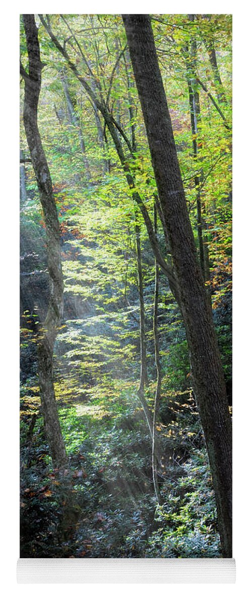 Fall Yoga Mat featuring the photograph Sunbeams through the Trees Creeper Trail Damascus Virginia by Debra and Dave Vanderlaan