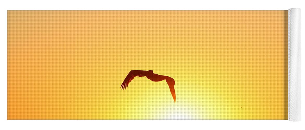 Pelican Yoga Mat featuring the photograph Sunbird by Kathleen Illes