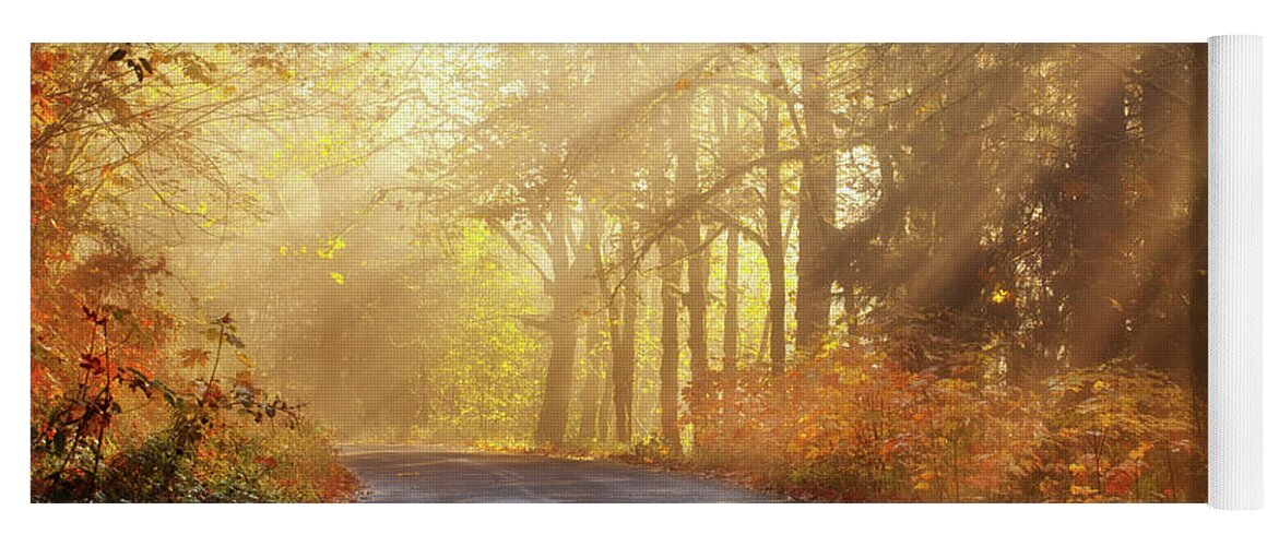 Fall Colors Yoga Mat featuring the photograph Sunday Morning Gold by Darren White