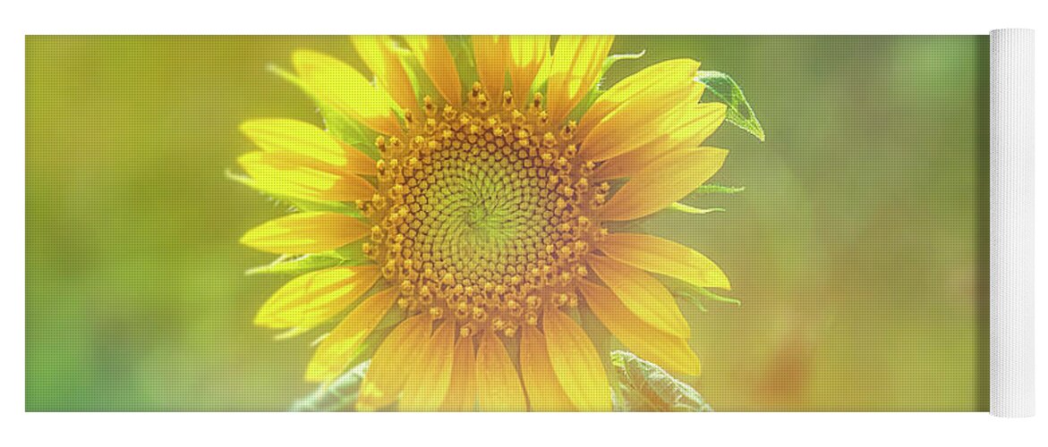 Sunflower Yoga Mat featuring the photograph Sunflower Artistic-3 by John Kirkland