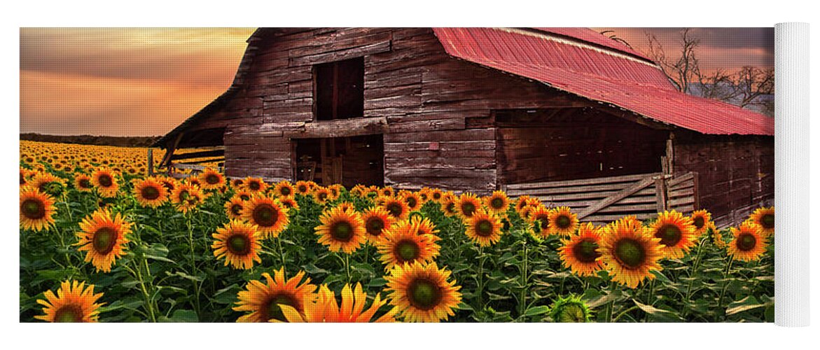 Barns Yoga Mat featuring the photograph Sunflower Farm at Dawn by Debra and Dave Vanderlaan