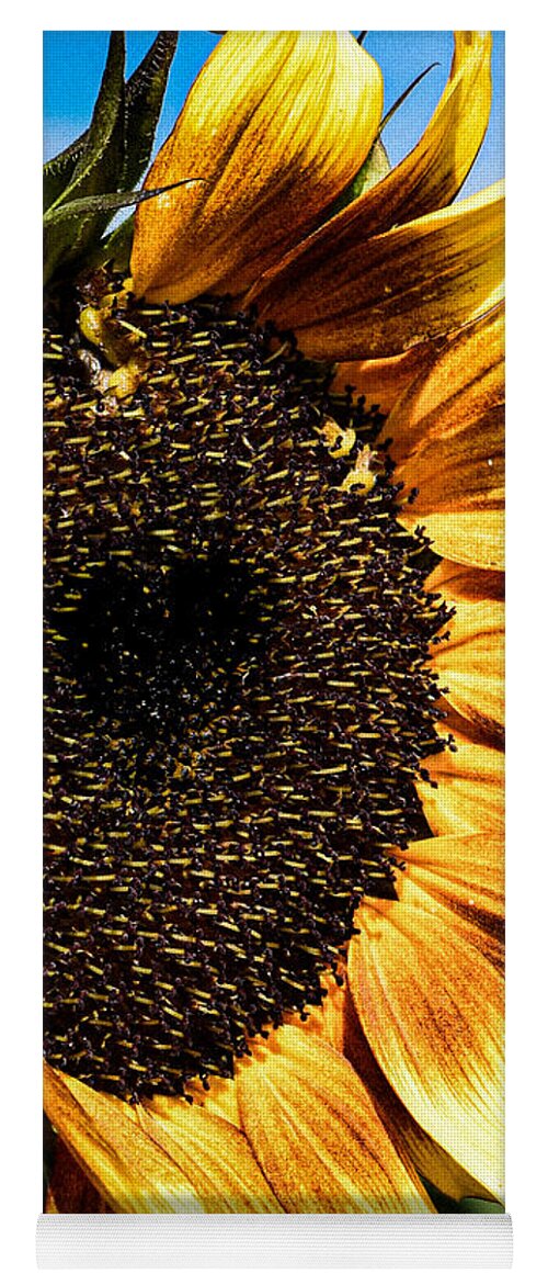 Sunflower Yoga Mat featuring the photograph Sunflower Love by Bonny Puckett