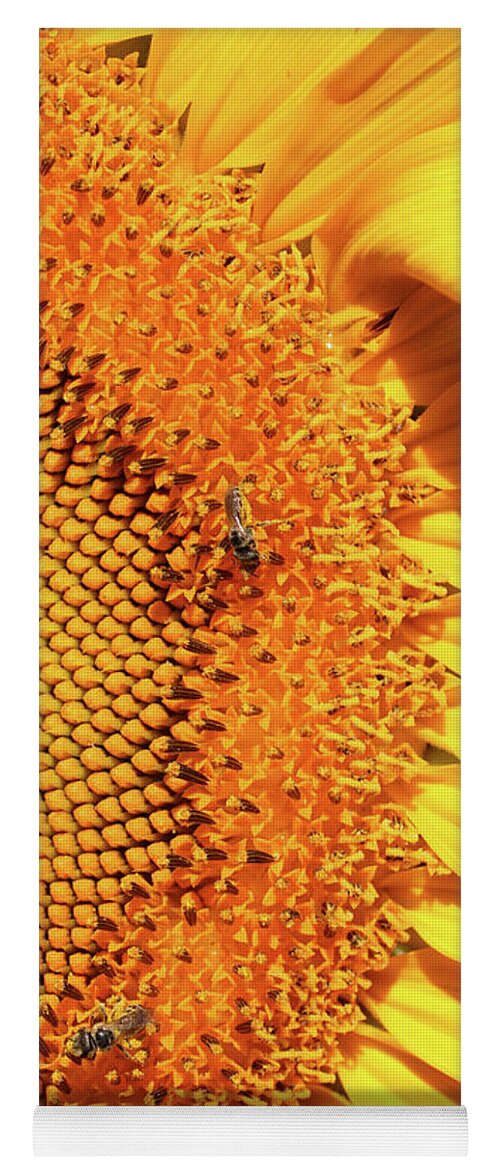 Right Side Yoga Mat featuring the photograph Sunflower Right by Carol Groenen