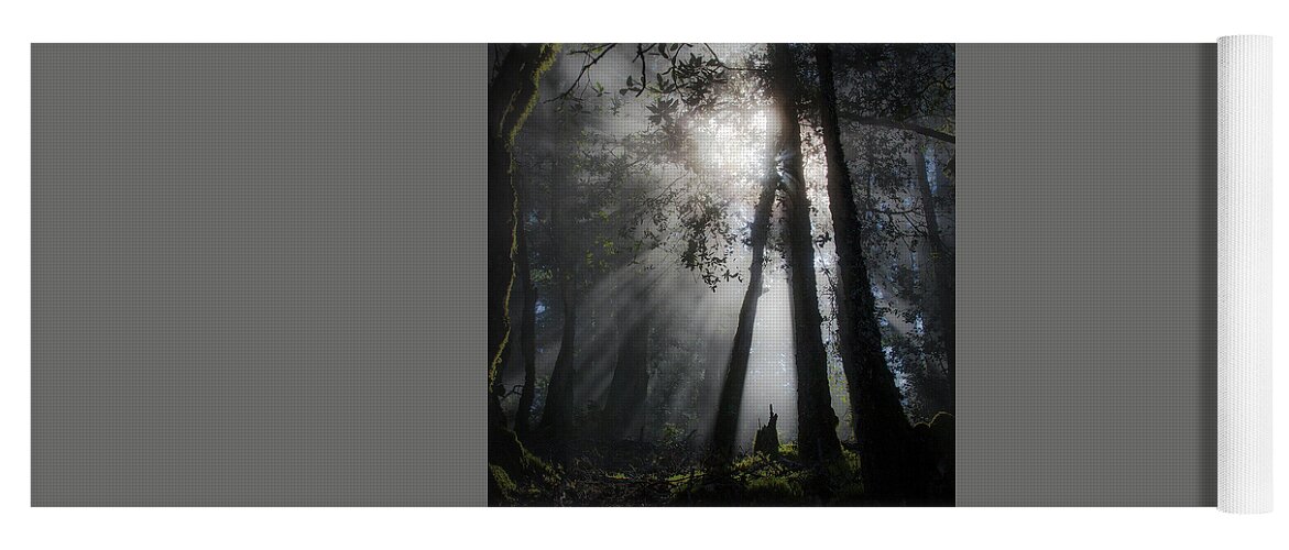 Sunlight Yoga Mat featuring the photograph Sunlight in the forest by Donald Kinney