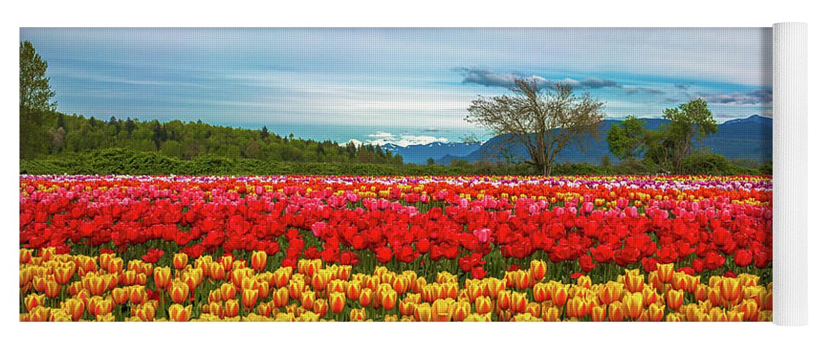 Alex Lyubar Yoga Mat featuring the photograph Sunny colorful tulip fields by Alex Lyubar
