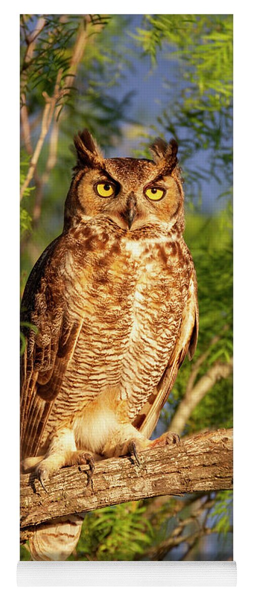 Owl Yoga Mat featuring the photograph Sunrise Owl by D Robert Franz