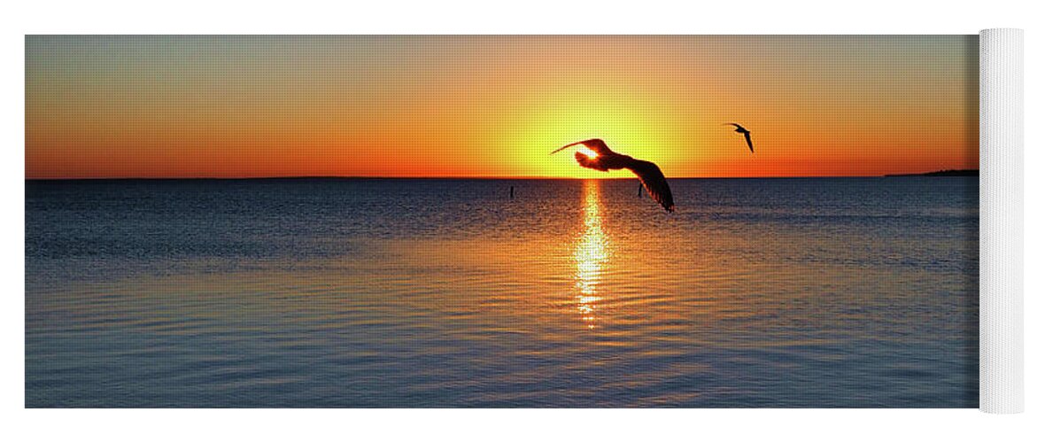 Sunrise Yoga Mat featuring the photograph Sunrise Seagull Silhouette by Bill Swartwout