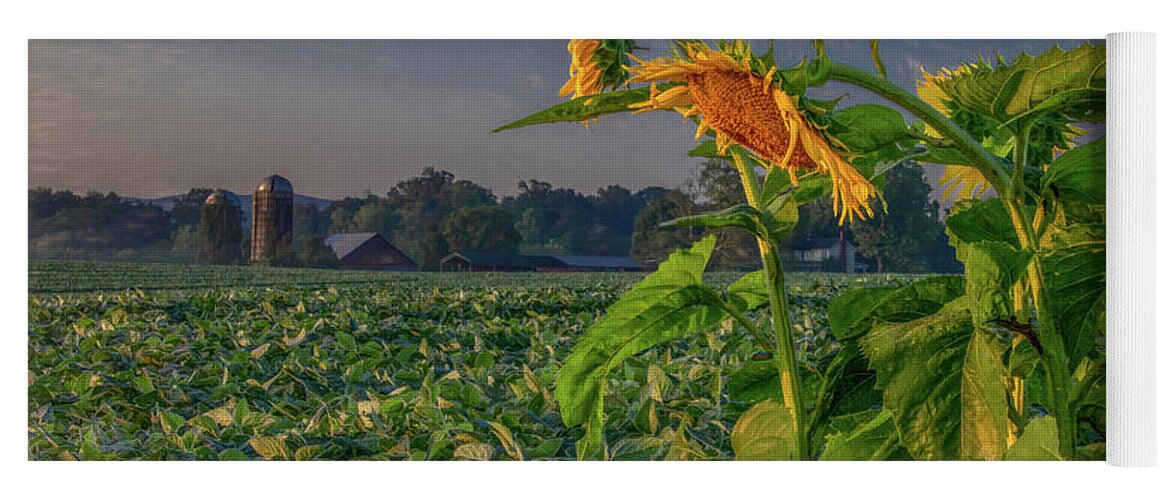 Tennessee Yoga Mat featuring the photograph Sunrise With Sunflowers by Marcy Wielfaert