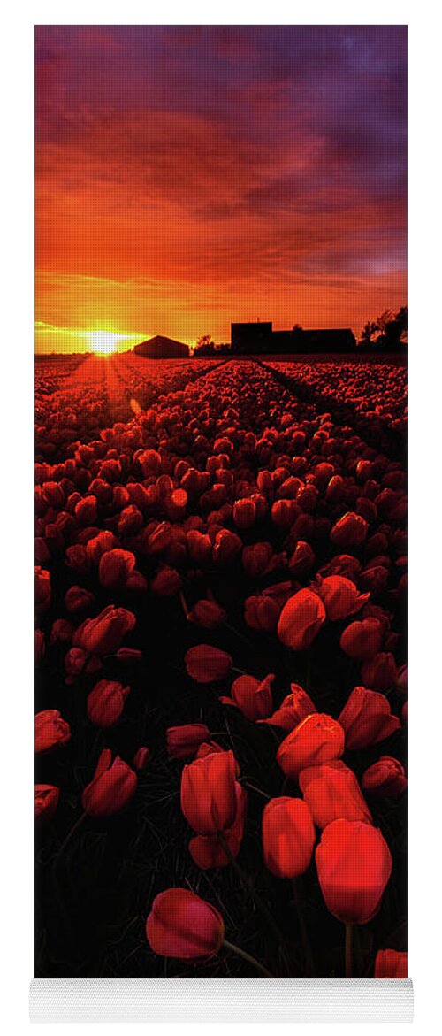 Landscape Yoga Mat featuring the photograph Sunset fire by Jorge Maia