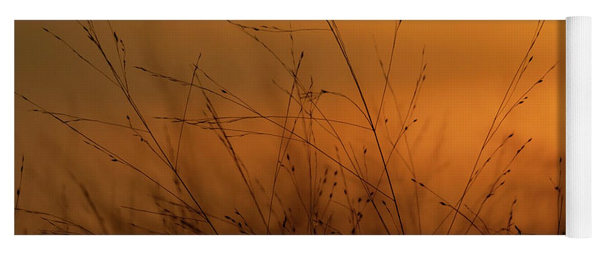 Beautiful Yoga Mat featuring the photograph Sunset In the Weeds by Jason Fink