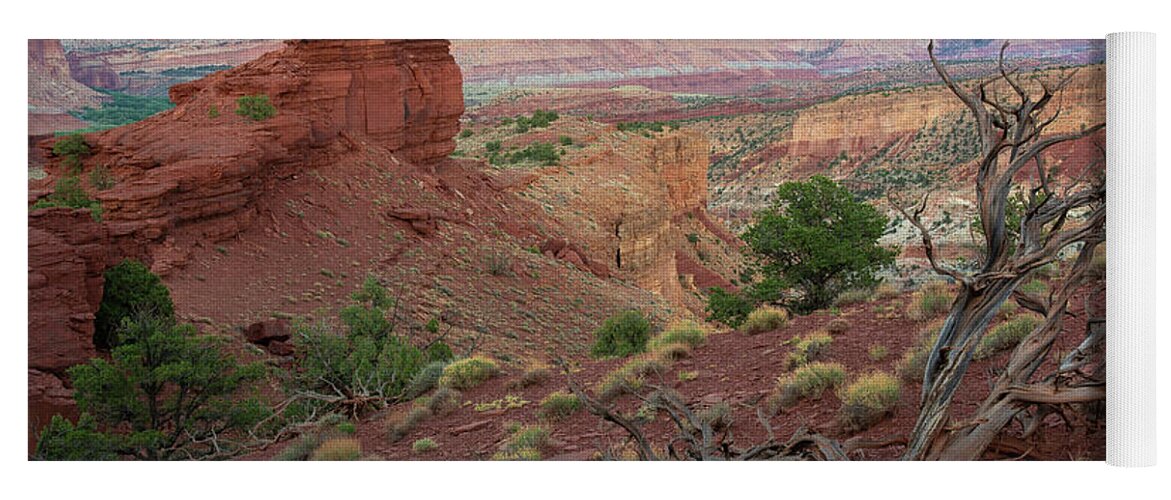 Utah Yoga Mat featuring the photograph Sunset on Capitol Reef by Aaron Spong