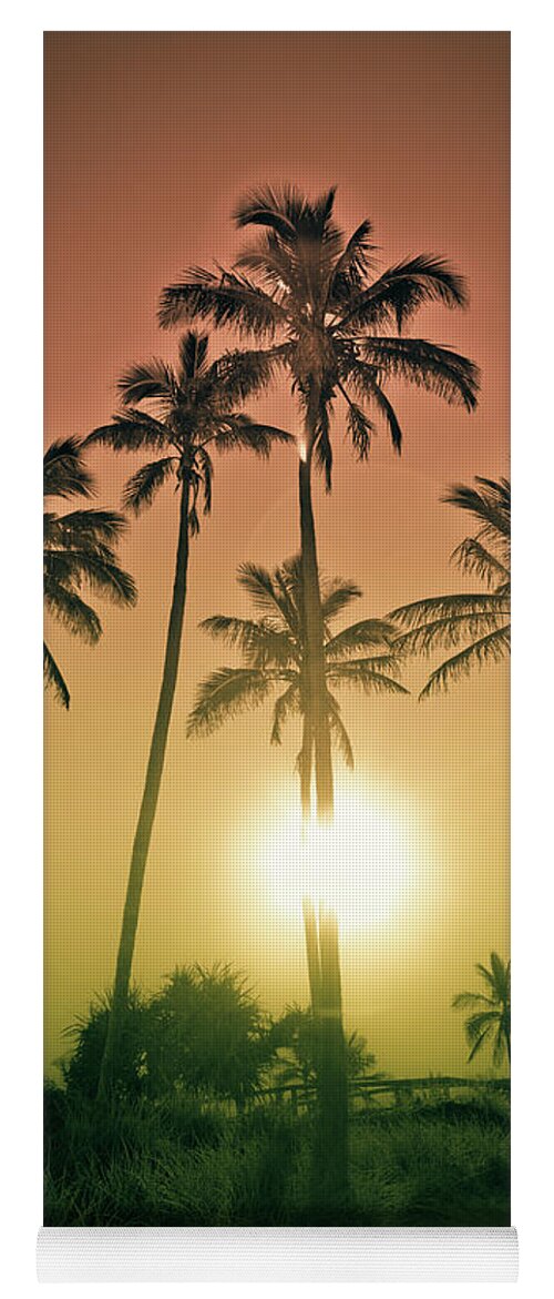Skyward Palm Trees Yoga Mat featuring the photograph Sunset Palms by Az Jackson