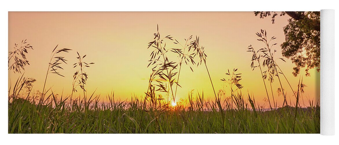 Trexler Yoga Mat featuring the photograph Sunset Through the High Grass by Jason Fink