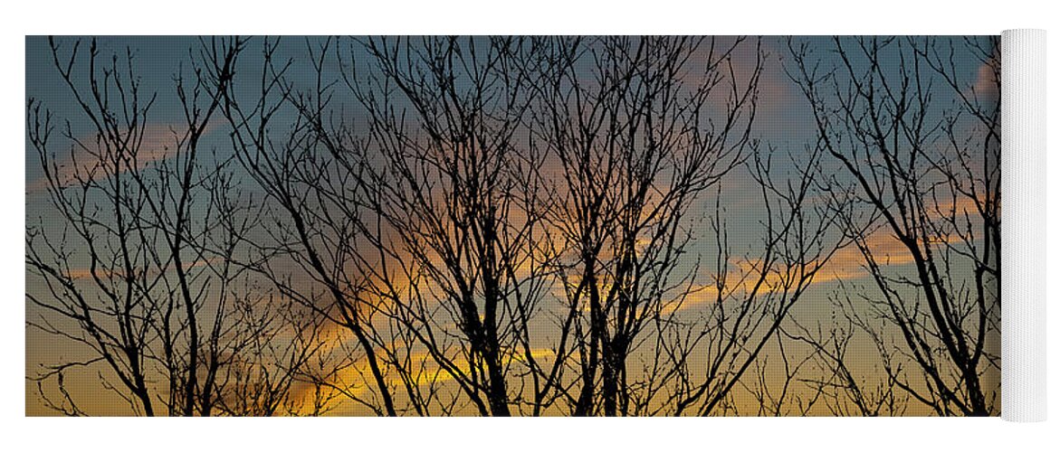 Sunset Yoga Mat featuring the photograph Sunset Through The Trees by Cathy Kovarik