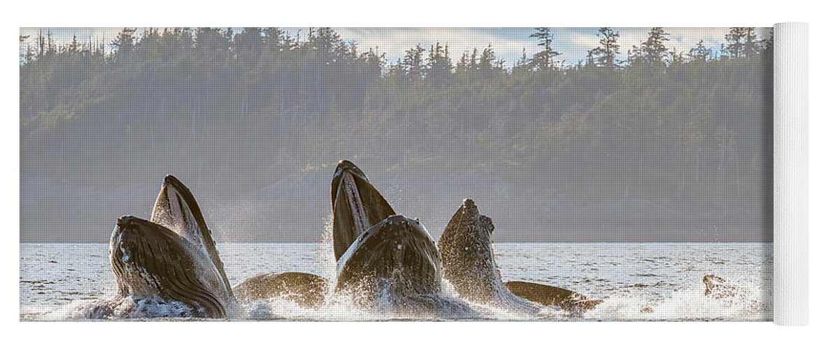 Whale Yoga Mat featuring the photograph Surprise Meal by Michael Rauwolf