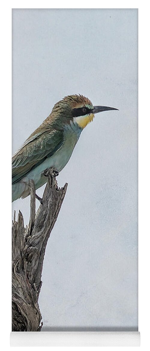 Swallow-tailed Bee-eater Yoga Mat featuring the photograph Swallow-tailed Bee-eater by Belinda Greb