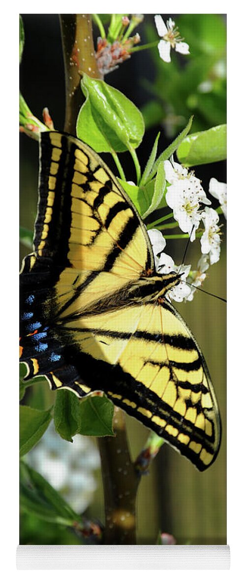 Animal Yoga Mat featuring the photograph Swallowtail Butterfly is enjoying feeding on a spring blossom by Gunther Allen