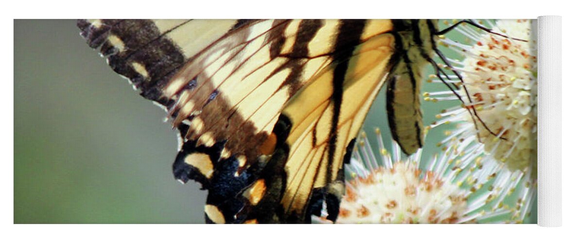 Butterfly Yoga Mat featuring the photograph Swallowtail by Carolyn Stagger Cokley