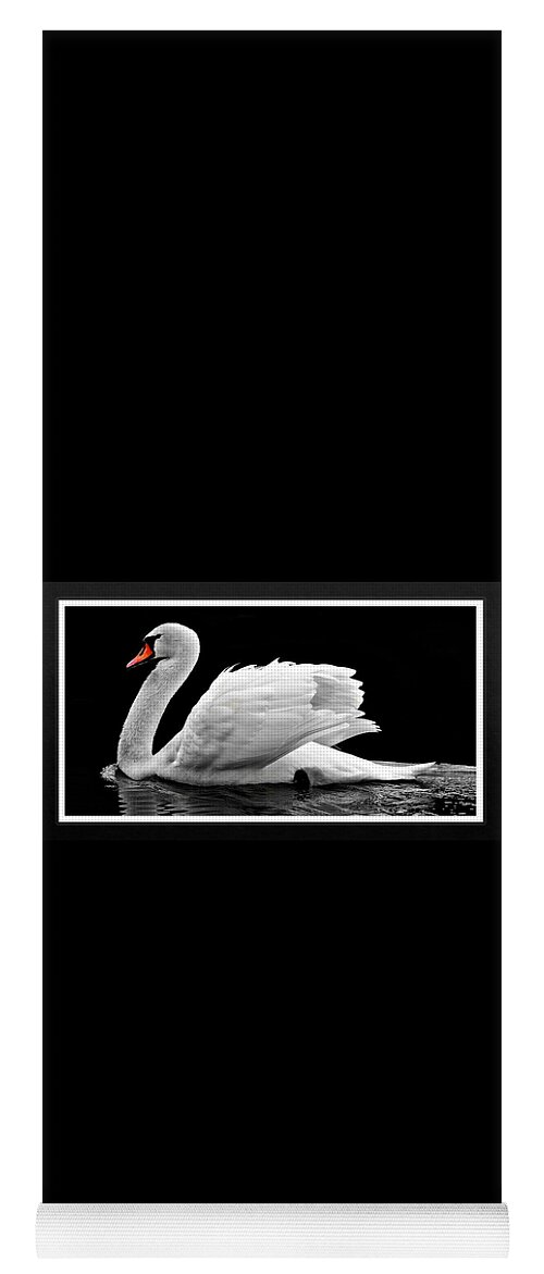 Swan Yoga Mat featuring the photograph Swan Elegance by Nancy Ayanna Wyatt