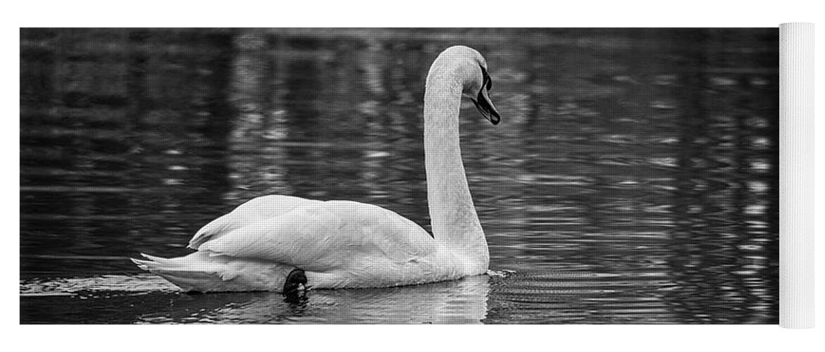 Black And White Yoga Mat featuring the photograph Swan I BW by David Gordon