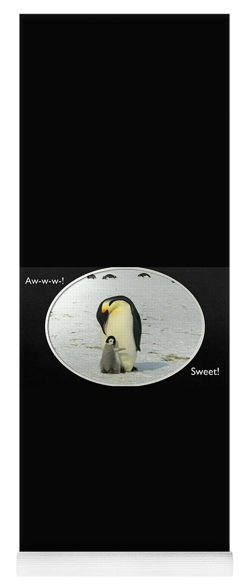 Penguins Yoga Mat featuring the photograph Sweet Penguins by Nancy Ayanna Wyatt