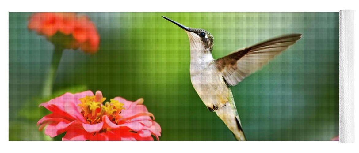 Hummingbird Yoga Mat featuring the photograph Sweet Promise Hummingbird by Christina Rollo