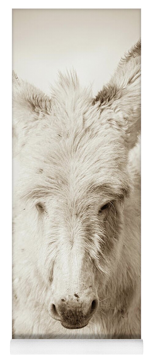 Wild Burros Yoga Mat featuring the photograph Sweetness by Mary Hone
