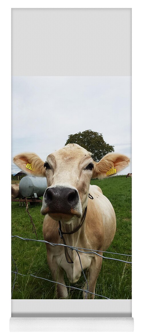 Swiss Yoga Mat featuring the photograph Swiss cow by Joelle Philibert