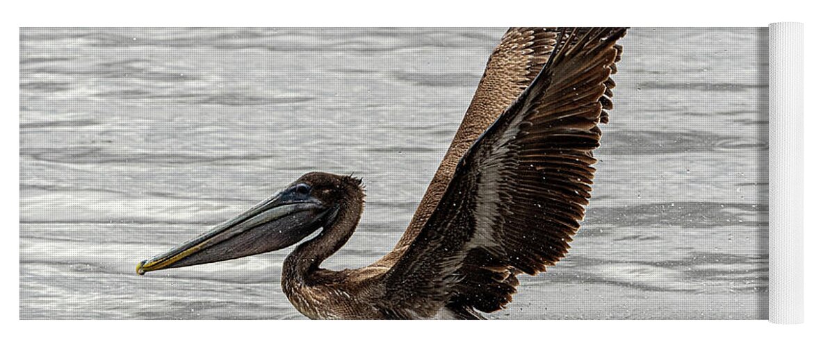 Brown Pelican Yoga Mat featuring the photograph Take Off 2 by Jerry Connally