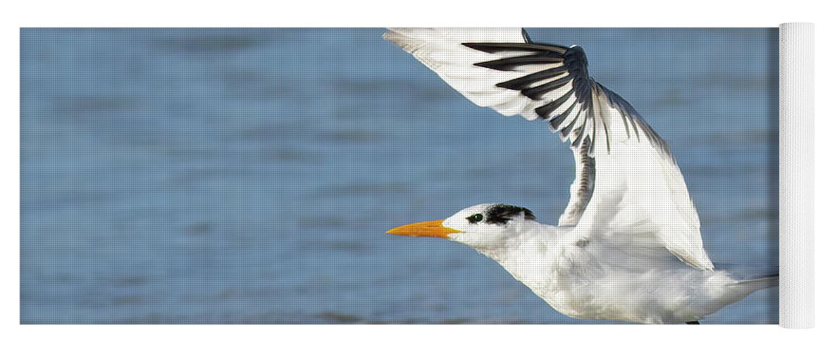 Tern Yoga Mat featuring the photograph Take Off by RD Allen