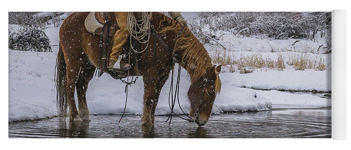 Horse Yoga Mat featuring the photograph Tap the Water by Laura Hedien