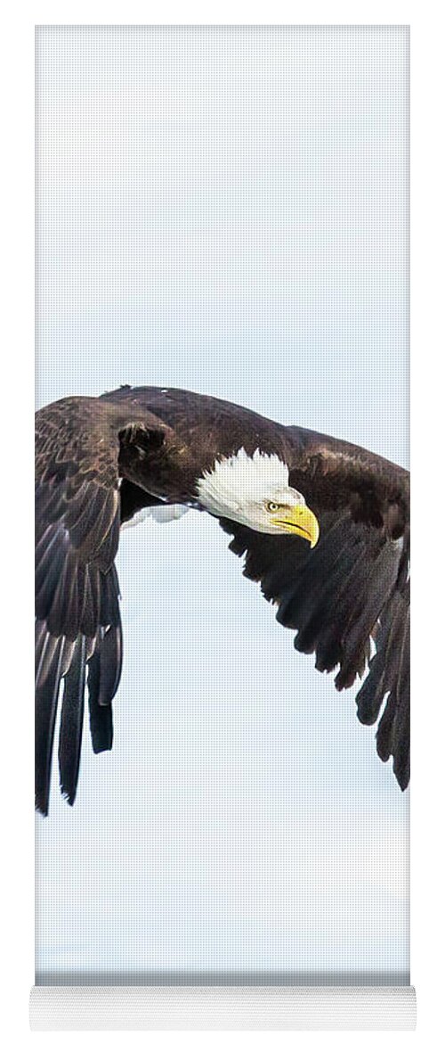 Eagle Yoga Mat featuring the photograph Test 2 by Kevin Dietrich