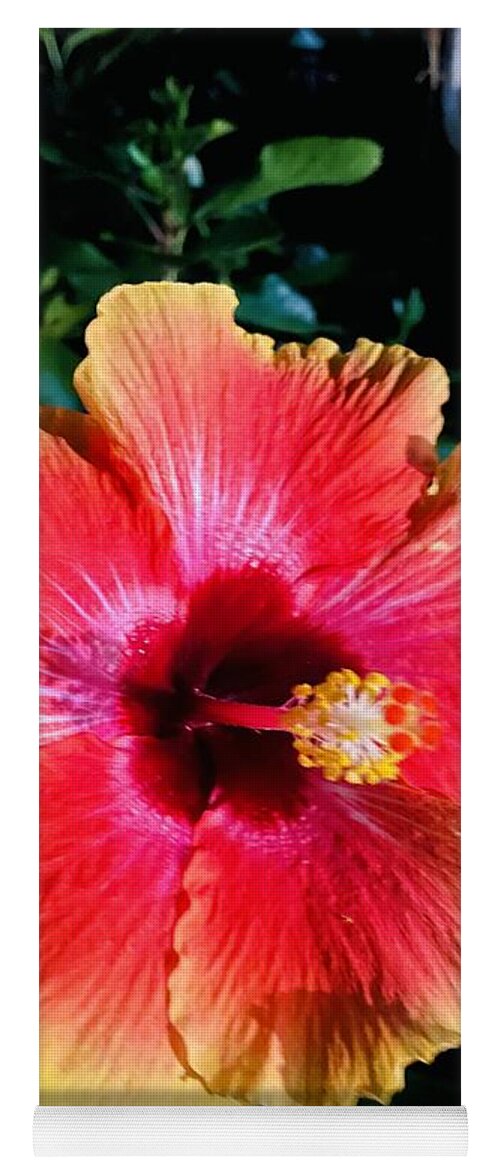 Flowers Yoga Mat featuring the photograph Thanksgiving Hibiscus by John Anderson