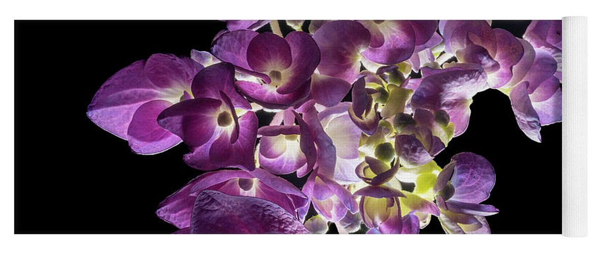 Bigleaf Hydrangea Yoga Mat featuring the photograph Finale in Purple by Kevin Suttlehan