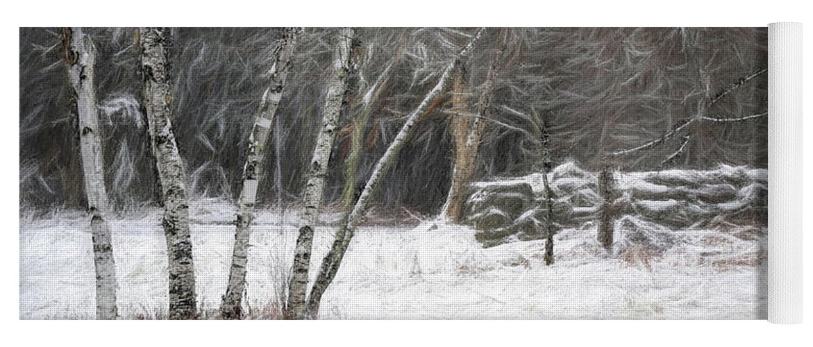 Birch Yoga Mat featuring the photograph The Birches of Orris Road by Wayne King
