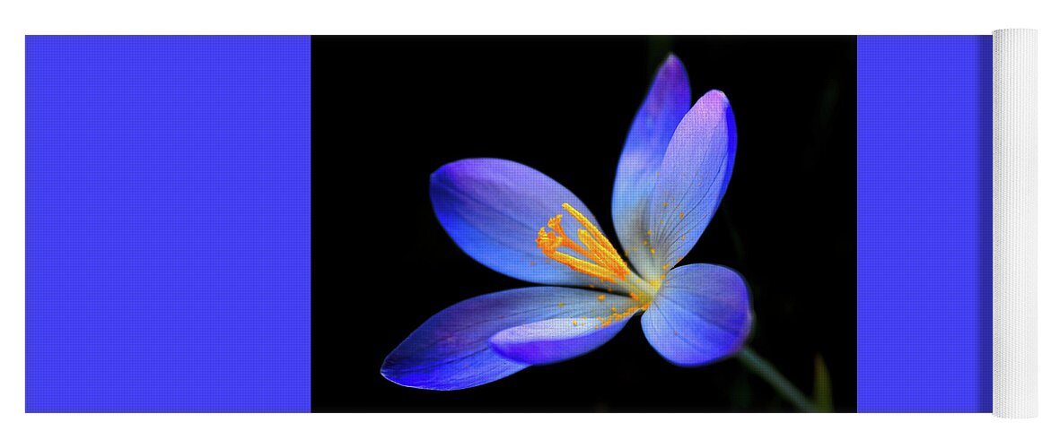 Flower Yoga Mat featuring the photograph The blue crocus by MPhotographer