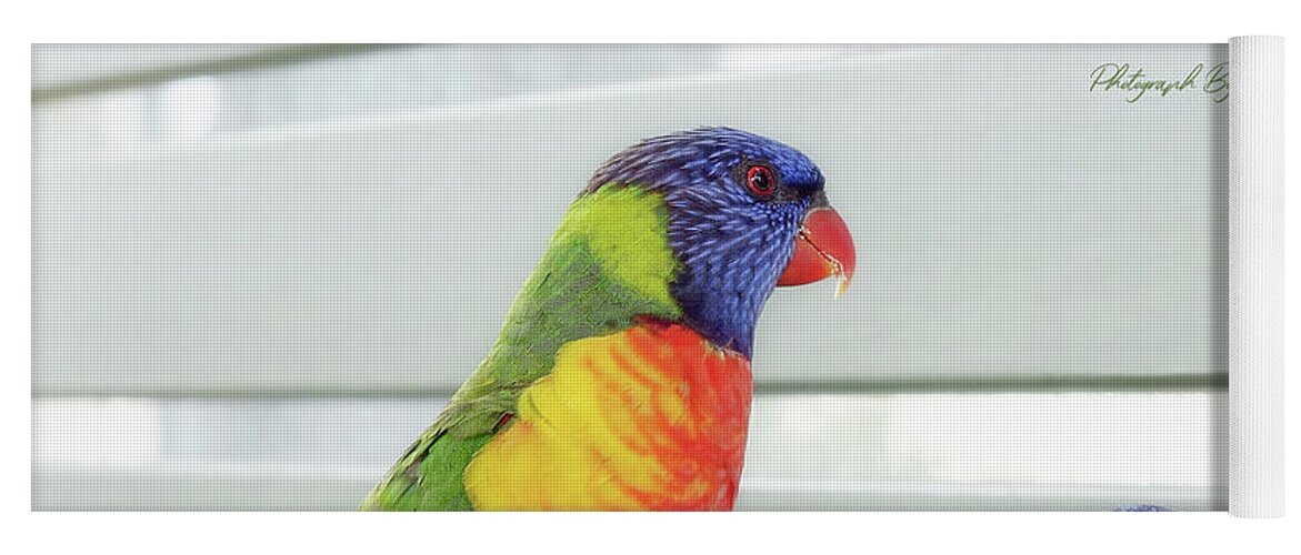 Australian Rainbow Lorikeets Yoga Mat featuring the digital art The Boss 0021 by Kevin Chippindall