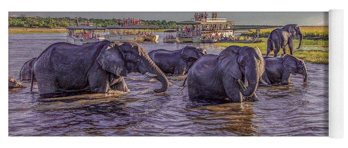 Chobe National Park Yoga Mat featuring the photograph The Crossing by Marcy Wielfaert