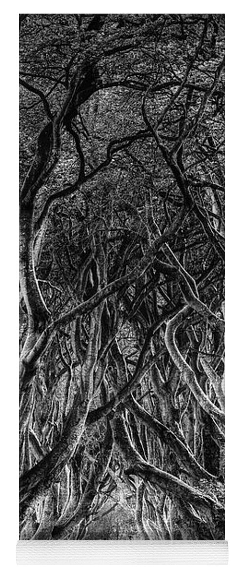 Ireland Yoga Mat featuring the photograph The Dark Hedges by Phil Perkins