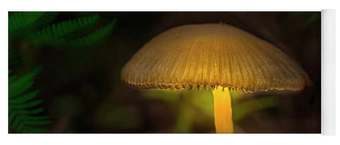 Mushroom Yoga Mat featuring the photograph The Enchanted Mushroom by Mark Andrew Thomas