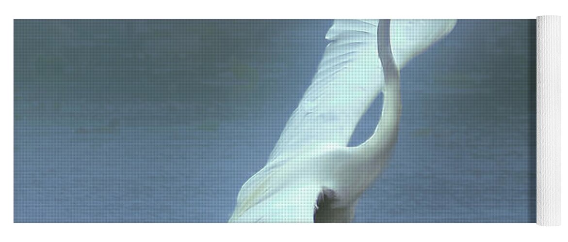 Faune Yoga Mat featuring the photograph The Great dancing Egret by Carl Marceau